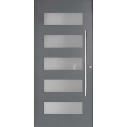 Flush Panel With 5Lites